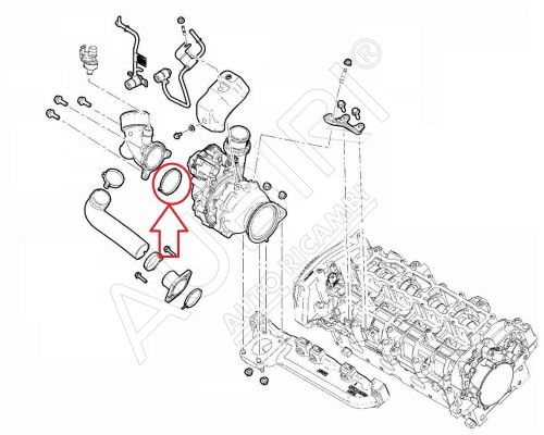 Turboladerdichtung Fiat Ducato ab 2021 2.2D für Abgaskrümmer