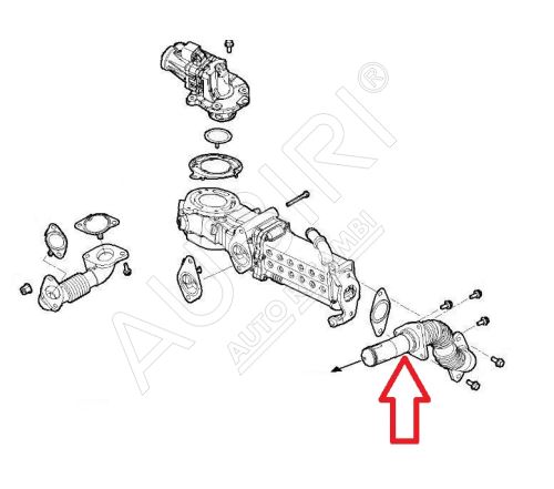 AGR-Ventilkühlerrohr Iveco Daily ab 2022 2.3D