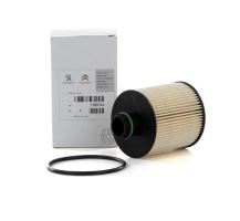 Ölfilter Fiat Ducato ab 2011, Doblo ab 2010 1.6/2.0, mit Start-Stopp-System (1)