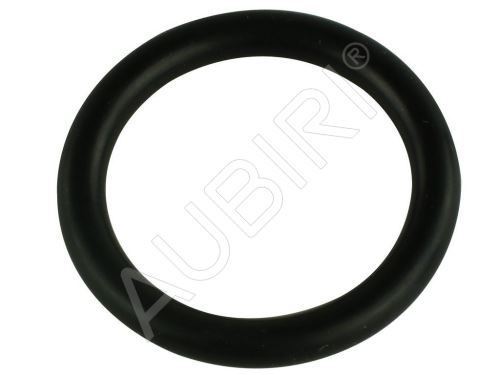 O-Ring für Wasserpumperohr Iveco Daily ab 2000 2.3D