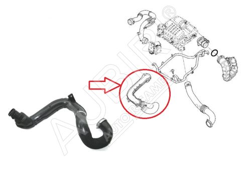 Ladeluftschlauch Renault Trafic 2001-2014 2.0 dCi vom Turbolader zum Ladeluftkühler