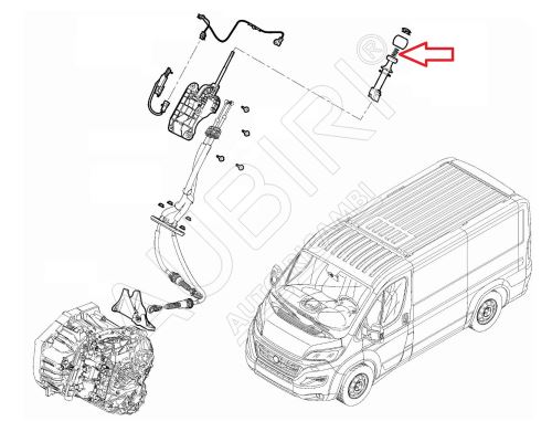 Feder für Schaltknauf Fiat Ducato ab 2021