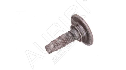 Schraube Fiat Ducato ab 2002, Doblo 2000-2010 8x16mm