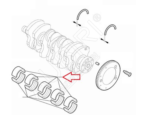 Hauptlagerschalen BN2 Blaustärke 1.832-1.836 Fiat Doblo 2010-2023, Ducato ab 2011 2.0/2.2D