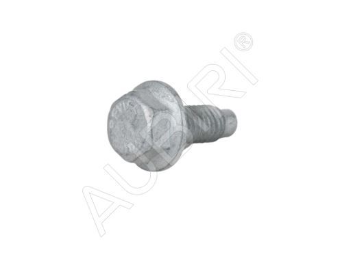AGR-Ventilrohrschraube Fiat Ducato ab 2011 2.3D