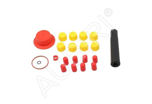 Einspritzpumpen-Reparatursatz Renault Kangoo 1997-2008 1.9D