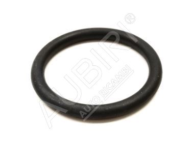 Thermostat-O-Ring Renault Master 2002-2010, Trafic 2002-2014 2.2/2.5D