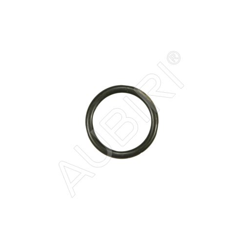 O - Ring Iveco, Fiat
