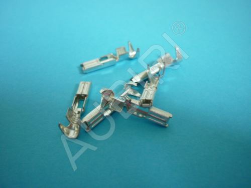 Stift des hinteren Lampendeckels Iveco Daily, Ducato